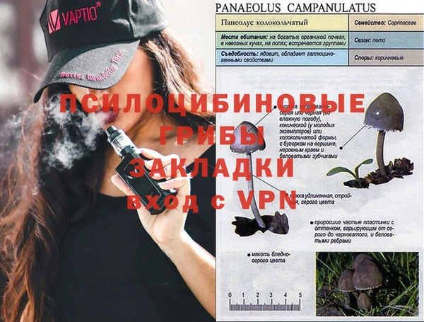 ПСИЛОЦИБИНОВЫЕ ГРИБЫ Володарск