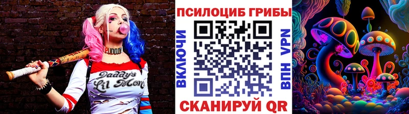 Купить где  Оленегорск  Галлюциногенные грибы Psilocybe 